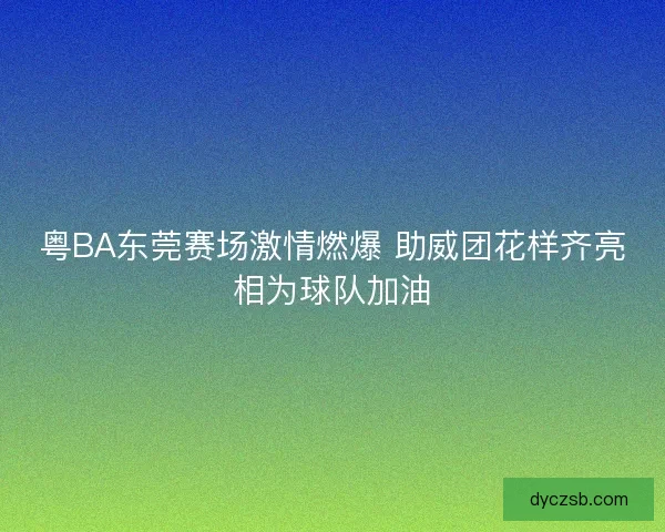 粤BA东莞赛场激情燃爆 助威团花样齐亮相为球队加油